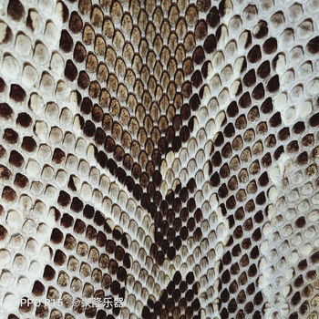 二胡皮蟒蛇皮高胡四胡乐器配件蟒皮头部蛇皮琴皮蒙皮胶13公分长25公分