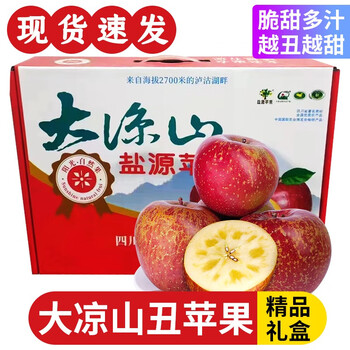 鲜福林四川大凉山丑苹果 当季新鲜水果 精品礼盒4.5斤 12个