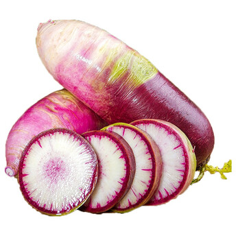 山东冰糖心萝卜冰激凌萝卜时令新鲜水果蔬菜即食沙拉水果萝卜15kg