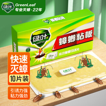 走势独特的高效杀蟑剂,让您轻松彻底解决蟑螂问题