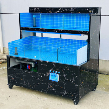 海鲜缸商用海鲜池制冷机一体大闸蟹饭店移动海鲜鱼缸冰鲜台贝类池 双