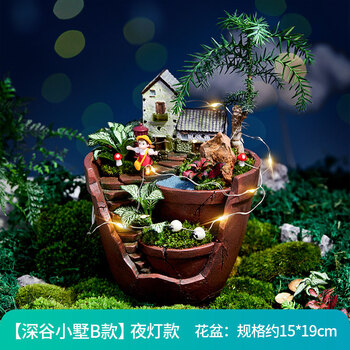 桌面仙人球多肉微景观趣味摆件迷你苔藓盆栽创意diy好养植物盆景深谷小墅b款 Led灯串 图片价格品牌报价 京东