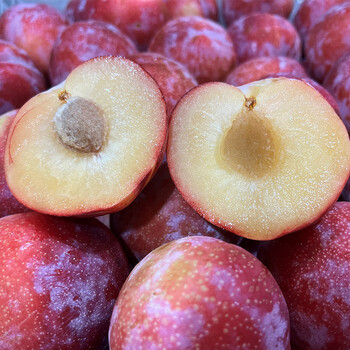 莓梨婆娘智利雪花红李子4斤装 李子进口水果 脆嫩李子 新鲜水果