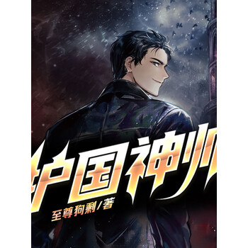 护国神帅热血都市多人剧叶无道耀世龙帅