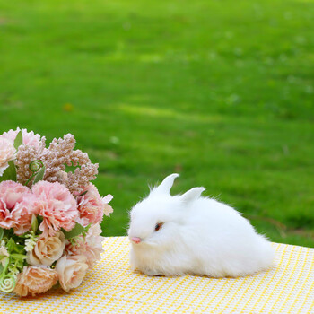 中秋节兔子摆件仿真兔子摆件动物模型嫦娥玉兔玩偶小白兔公仔拍照道具