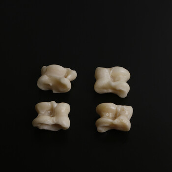 羊嘎拉哈羊拐骨解压玩具嘎啦哈旮旯哈羊骨头子80后怀旧玩具精选款单独