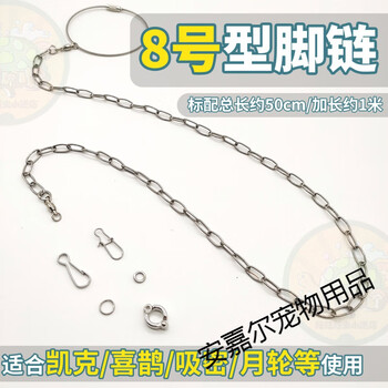 鸟链子虎皮八哥牡丹玄凤鸟放飞绳站架鸟链用品粗链加8号脚环总长50cm
