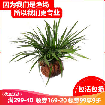 买不起豪车?这里有超实用的购车贷款攻略,让您轻松迈入新车阵营!