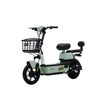 电动自行车品牌(电动自行车电动自行车品牌推荐)