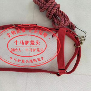 奔新农(benxinnong)牛笼头牛笼套马龙套大小可调节牛笼头大牛龙头牛