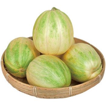 白莲脆甜瓜内蒙古巴盟特产河套新鲜农家现摘应季水果白莲脆5斤顺丰