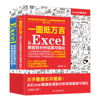 左手数据右手图表：从Excel数据处理到分析结果图表可视化 （套装共2册）