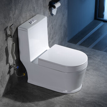 九牧(jomoo)蹲坐两用马桶一体双用大管道蹲便器感应智能二合一可蹲可