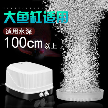 想要省钱的你必看!这些商品的价格走势分析揭秘!