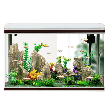 宝贝故事C.A.Y鱼缸怎么样？体验后讲实情内幕？