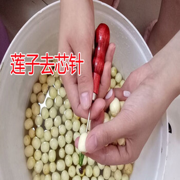 昌华莲子剥壳机手摇割壳机脱壳剥莲子去壳去皮机器莲子去壳机去芯针3个 图片价格品牌报价 京东 昌华莲子剥壳机手摇割壳机脱壳剥莲子去壳去皮机器莲子去壳机去芯针3个 图片价格品牌报价 京东