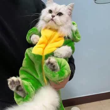 搞怪猫咪衣服恐龙宠物连体衣搞笑加绒法兰绒冬天保暖仿掉毛猫猫狗恐龙