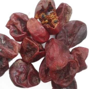 中药材赤瓟赤包子气包赤包赤雹250克