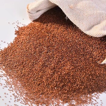 隽颜堂贵州四川特产冰粉原料商用家用冰籽木莲籽凉粉摆摊手搓冰粉籽