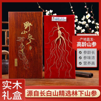 中国长白山野山参（新品）-