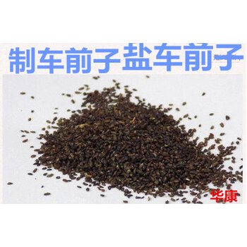 同仁堂中药材盐炒车前子炙车前子车前子制车前子盐车前子500克