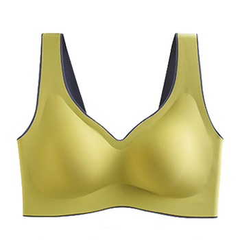 文胸品牌前十大排名榜（文胸国内十大女性文胸品牌）