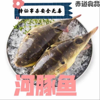 河豚干大号鱼可食用新鲜活肉带肝皮安全极鲜冷冻淡水河鲀4条装 800g左右 图片价格品牌报价 京东 河豚干大号鱼可食用新鲜活肉带肝皮安全极鲜冷冻淡水河鲀4条装 800g左右 图片价格品牌报价 京东
