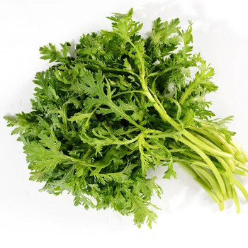 【顺丰】特心鲜 新鲜茼蒿菜 光杆大叶茼蒿菜 现割皇帝菜火锅配菜 普通