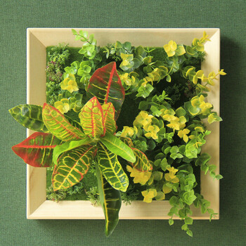 肖夫人餐厅墙面装饰挂件仿真多肉植物壁挂绿植墙上装饰创意墙饰植物墙