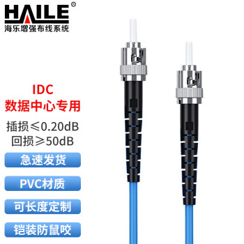海乐（Haile）铠装防鼠咬光纤跳线 电信级单模单芯尾纤ST-ST跳纤 9/125 30米 HJ-1ST-ST-SK30