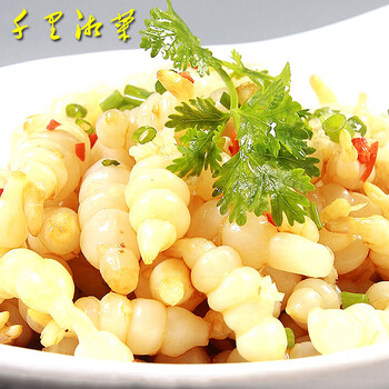 泡椒宝塔菜400g地环草石蚕地牯牛螺丝菜泡菜凉菜下饭菜