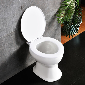 振迪 农村马桶旱厕坐便器陶瓷直通式免冲旱便蹲便改座便两用式老年