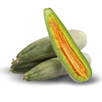 春光岛 现摘头茬羊角蜜甜瓜新鲜水果酥瓜脆瓜新鲜甜瓜博洋甜瓜蜜瓜 3