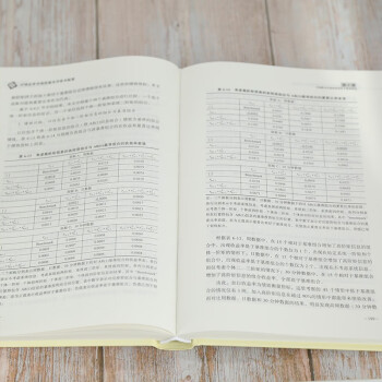 中国证券市场质量及其资本配置/清华汇智文库