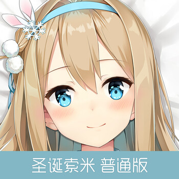 宅男定制动漫等身抱枕圣诞索米普通版舒适桃皮绒50cm160cm等身枕套