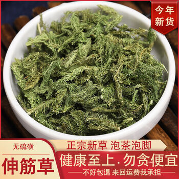 野生伸筋草透骨草特级泡茶泡水泡脚粉龙骨舒筋野生伸筋草今年新货250