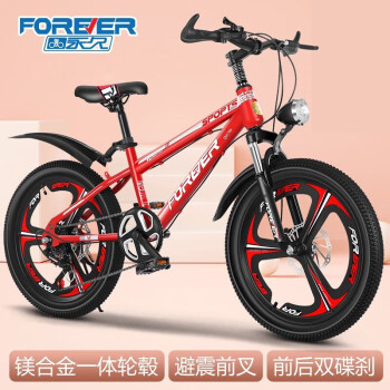 永久自行车:奇妙的世界与价格走势