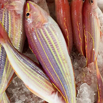 文又衍东海金线鱼新鲜冷冻海鱼红杉鱼金丝鱼闽南必香鱼3斤大条共45条