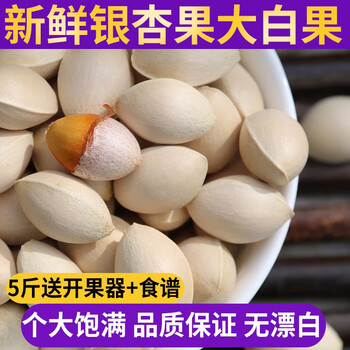 良知农哥 新果 新鲜银杏果生白果 鲜果仁 新鲜去壳白果仁6斤【需冷冻】