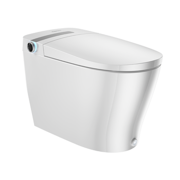 智能马桶品牌（智能马桶产品排名）