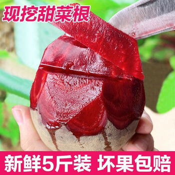 新鲜甜菜根15斤现挖现发红甜菜菜疙瘩菜卡通包榨汁酵素泡菜5斤小果约