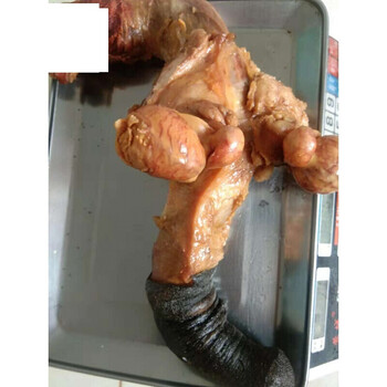 五香熟驴鞭新鲜带蛋蛋睾丸驴生殖器全套驴三件整套驴鞭金钱肉默认2