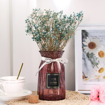 盛世泰堡玻璃花瓶 盛世泰堡透明花瓶玻璃摆件干花仿真花满天星水培植物水养插花瓶客厅装饰酒红色18cm 行情报价价格评测 京东