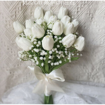 凭霄领证手捧花韩式新娘手捧花韩系婚纱照拍摄郁金香手捧花结婚婚礼领证手拿花白色郁金香 满天星 图片价格品牌报价 京东