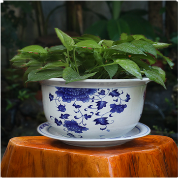 青意萱青花瓷花盆特大号青花瓷盆景德镇陶瓷花盆带托盘透气花卉绿植