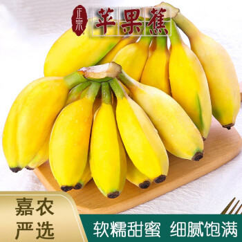 【嘉农严选】新鲜苹果蕉 当季香蕉  自然熟粉蕉 现摘现发5斤 5斤装