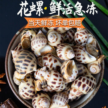 花螺4斤新鲜海螺活冻东风螺香螺翡翠螺类2斤装 图片价格品牌报价 京东