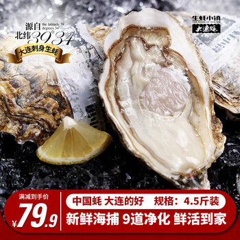 生蚝小镇 【鲜活】大连生蚝特大生蚝牡蛎海岛直发更鲜更甜高品质海鲜包活 4.5斤装 约10-12只 4-6两/只 5XL 大连产地海岛鲜活现捕现发