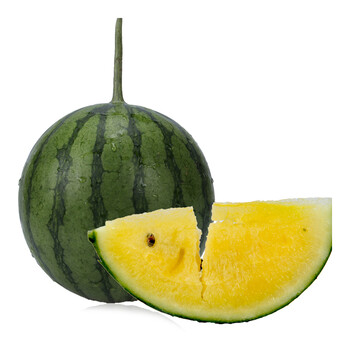 春光岛山东济南仁风富硒小兰西瓜  黄心黄瓤小吊瓜西瓜新鲜水果 四个