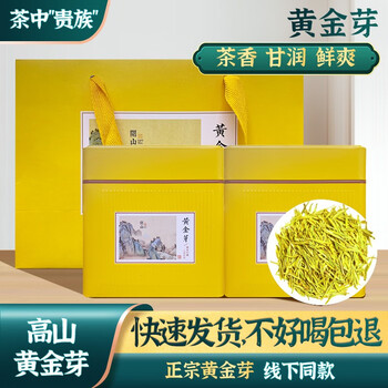 源聞白茶安吉绿茶茶叶黄金芽2023年新茶明前特级黄金芽奶白茶礼盒装 店长实惠装 100克 * 2罐